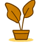 Adobe Express - file (5)